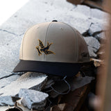 Sparrow Curved Brim Hat | Color: Putty Black